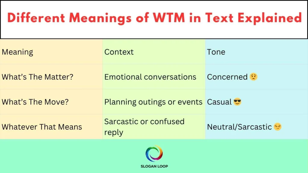 Different Meanings of WTM in Text Explained