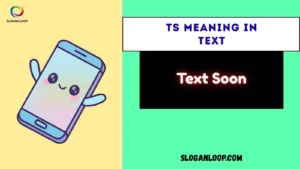 TS Meaning in Text