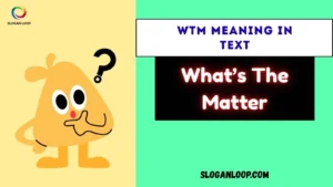 WTM Meaning in Text